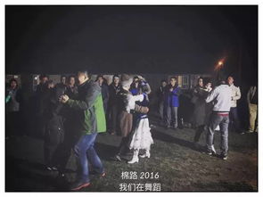 综合解析：跨领域视角下的解决路径探索