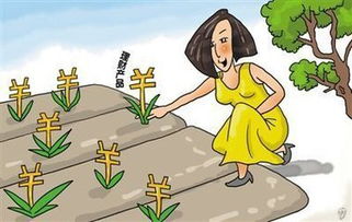 太阳化忌入财帛宫如何低调理财避免是非、破财和小人算计？