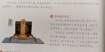 前言：六壬射覆术的学术定位与现代化适用性探究