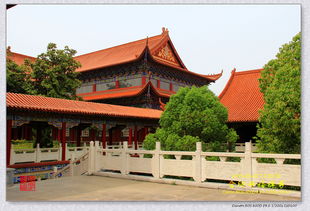 合肥开福禅寺提供算命服务吗？