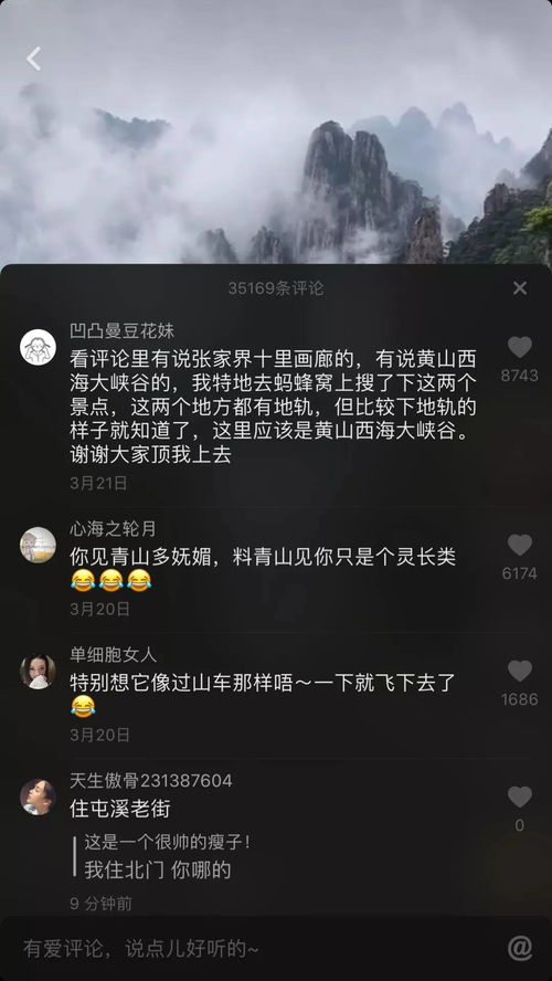 一、 抖音网名的文化内涵：个性表达与社交符号