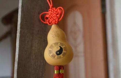 多子多福与家族繁衍