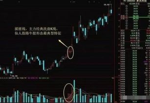上爻——头部形态