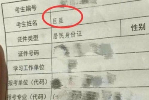 2026年属虎的韩姓宝宝，有没有大气独特的名字推荐？