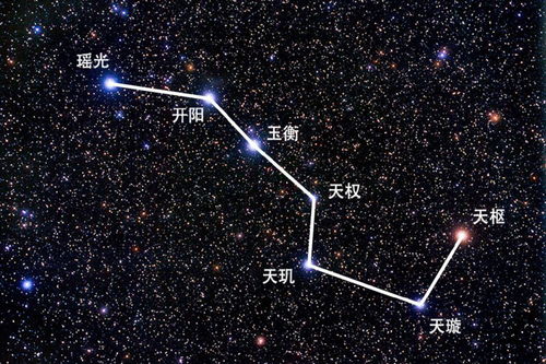 日柱（配偶宮）—伴侣关系与情感动态