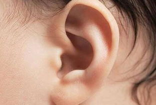 耳垂大小与福气、 财运、寿命