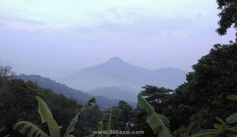 6.2 心理认知层面的阴影效应