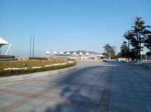 交通：折腾到怀疑人生