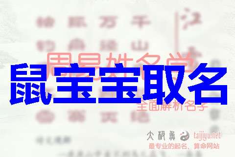 鲁姓男宝宝取名，有哪些大气独特的起名思路？