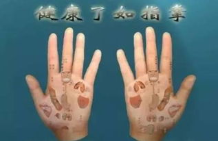 二、 传统方式手相学中关于生命线较长度及其科学研究评估