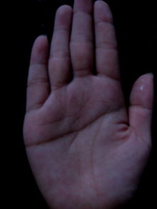 算命时是否需要将八字与手相相结合进行分析？