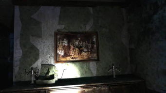 案例描述：事件叙事的原始材料