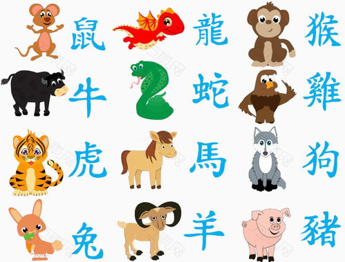 （二） 生肖龙：智慧启迪与远见卓识的塑造