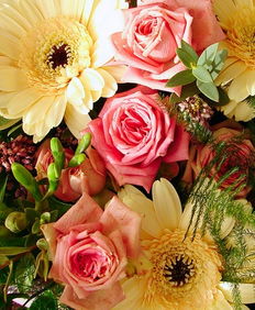 梦见鲜花预示着什么吉凶？