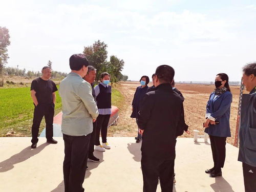 癸未日柱在2024年的整体运势概览