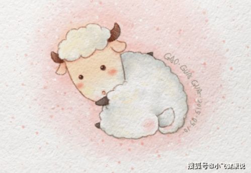 一、 属猪女性群体之家庭生活幸福模型