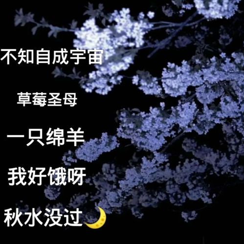 心态调整——从竞争到和谐