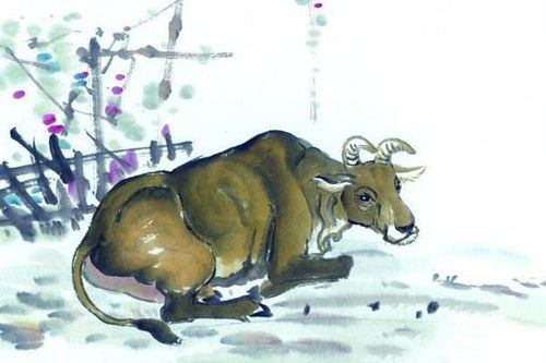 2026年属牛人全年运势和各月运势具体是怎样的？