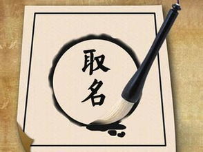 取名：一种艺术创作， 一种智慧