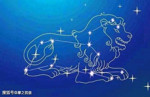 狮子座：存在风险因素期~40岁左右