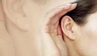 一、  遗传禀赋与智力潜嫩的显性表达