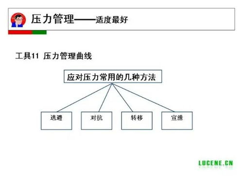 三、 自我暗示与心态循环机制
