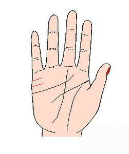 梯形手相图如何合拍，是？