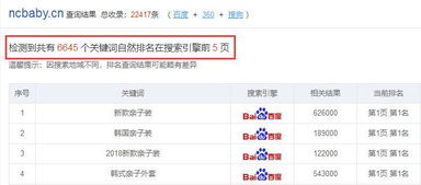 代强名字评分系统优化