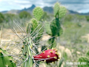 3. 股市暴跌的预兆？这也行？