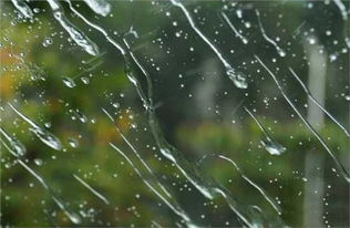 2.2 雨水对住宅气场的双重作用