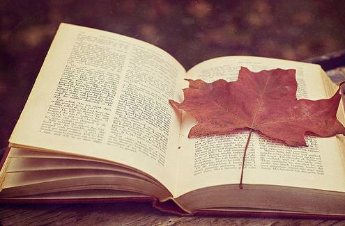 重大抉择：审慎决策的重要性