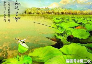 三、饮食习惯与养生理念的时代延续性