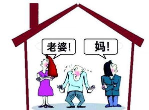 过度干涉导致的家族内部矛盾激化