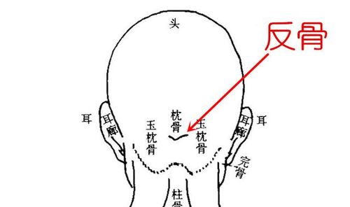 反骨之相的命相解读
