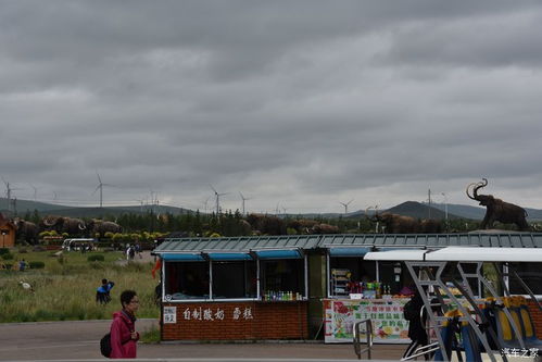 吉林段的惊魂一刻：服务区里的那些奇葩事儿