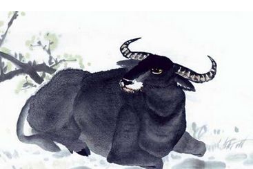 1985年属牛男性在2026年的感情运势如何？