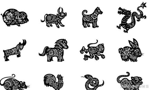 十二生肖龙命运种类多，龙狗牛风光生肖猜一生肖是何意？