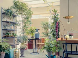 扩建流程简直离谱到姥姥家