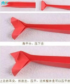 框架建构