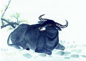 2．属牛者：稳重踏实 责任感强化内在坚韧