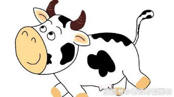 1997年属牛女性2026年运势如何，2025年婚姻运势怎样？