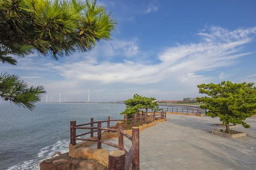 海滨公园：免费的最贵