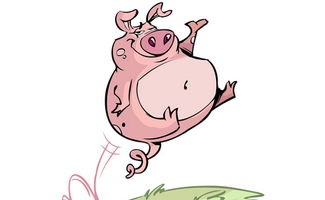 1995年腊月出生的属猪人，他们的星座是什么？