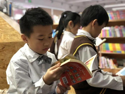 一、  叙事背景与核心冲突