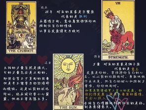 1. 财务事务中的诚信危机
