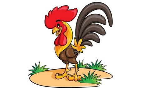 2005年属鸡人2026年运势如何，2025年下半年具体运程怎样？