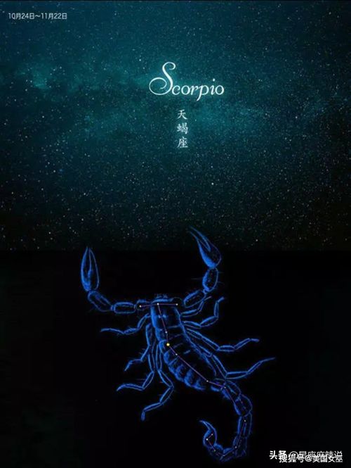 天蝎男性格细节