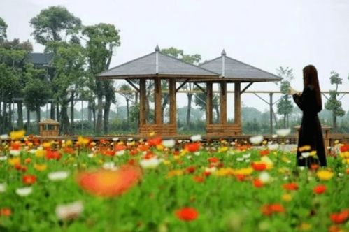 1. 龙湾雅林农业文化园——土味十足的田园风光