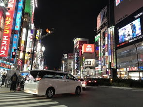 晚上别冲歌舞伎町 思出横丁的小酒馆更懂夜生活