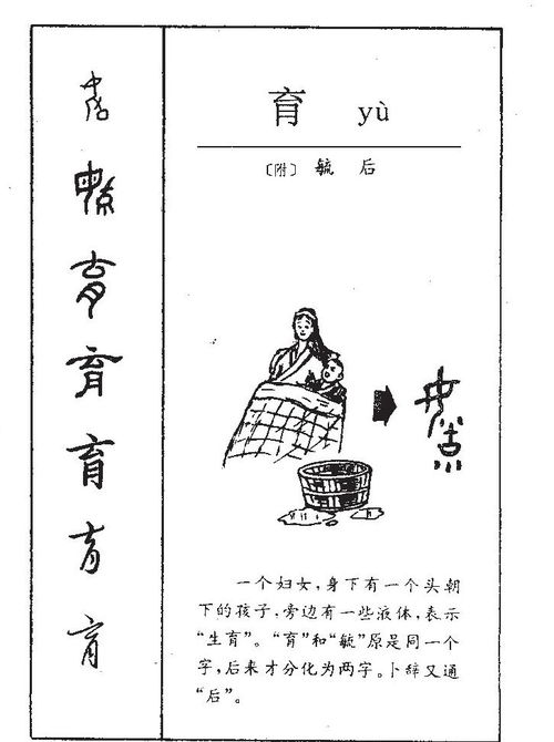 育字五行属什么吉凶？育字的意思是什么？